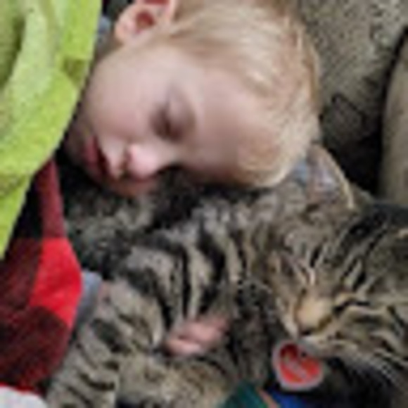 Meet your Posher, Jessica - Picture 1 of 1